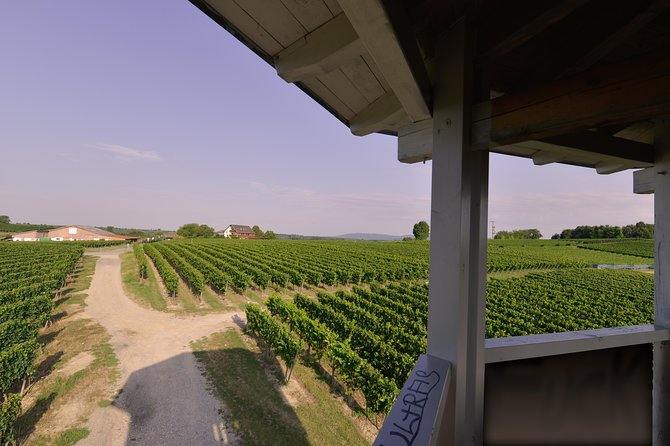 Private: Outdoor Escape Game Tuniberg: Eduardo & the Wine Secret - Puzzles designed for teamwork