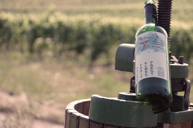 Private: Outdoor Escape Game Tuniberg: Eduardo & the Wine Secret - Timing, weather, and what to bring
