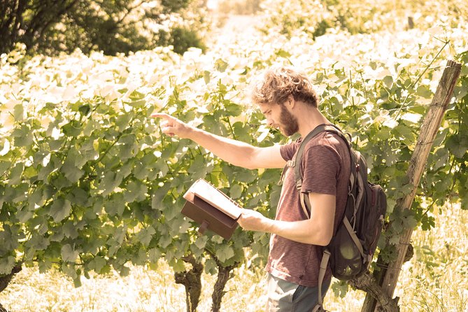 Private: Outdoor Escape Game Tuniberg: Eduardo & the Wine Secret - Starting at Ferienhof Walter near Freiburg
