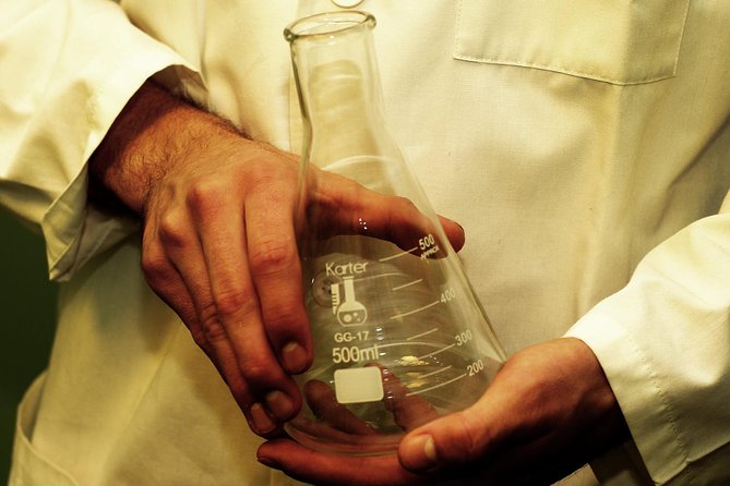 Private Reykjavik Escape Game Experience: The Scientist 1 - The Scientist 1: A One-Hour Race Against the Police