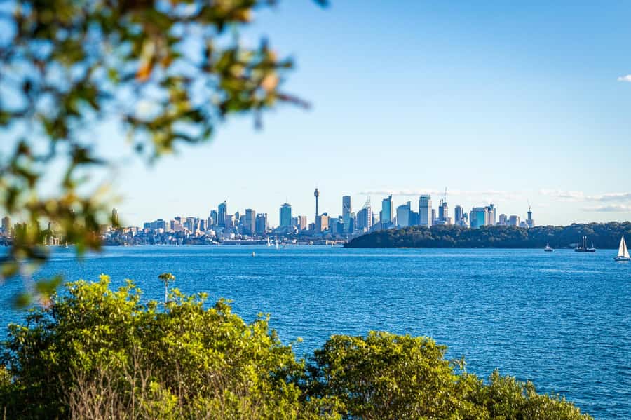 Private Sydney Beaches Escape Tour - Freshwater, Mosman, and quieter coves
