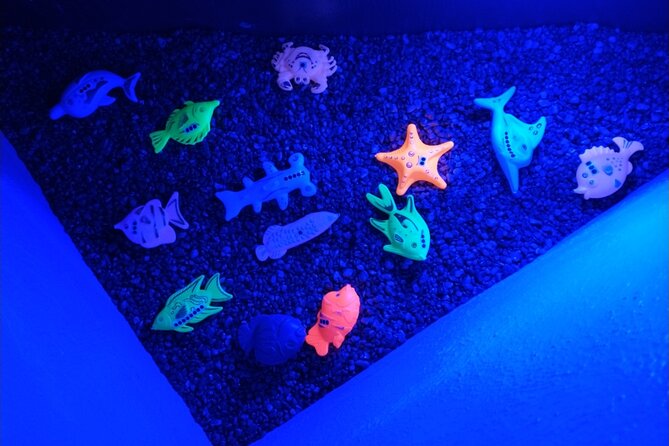 Puzzle Pirates Puzzle Room Experience For Kids - The Right Age: First Through Fifth Grade