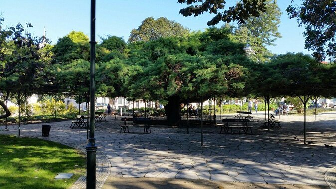 Queer Lisbon - A Treasure Hunt in LGBT History - A different way to read Lisbon