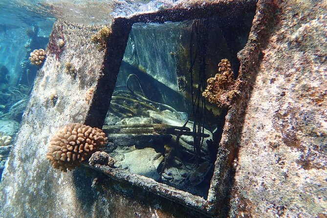 Reef Discovery Private Treasure Hunt - Eagle rays and the middle of the hunt