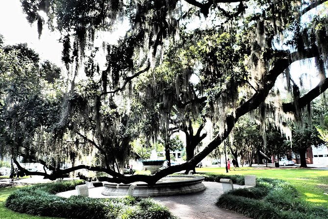 Savannah Scavenger Hunt Adventure - Colonial Park Cemetery adds a quieter pause