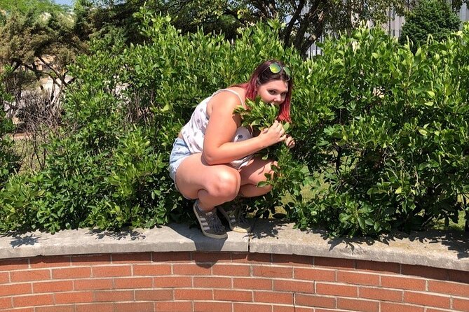 Scavenger Hunt in Gatlinburg by Zombie Scavengers - The app is the guide, with help from a remote host