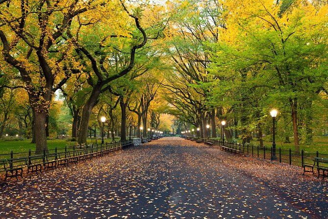 Self Guided Central Park Scavenger Hunt - Delacorte Theater and the Park’s Performance Side