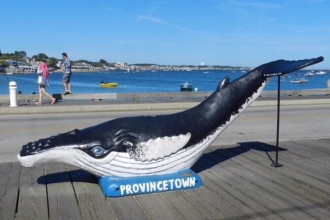 Self-Guided Scavenger Hunt: The Crown Jewel of Cape Cod - Key points at a glance