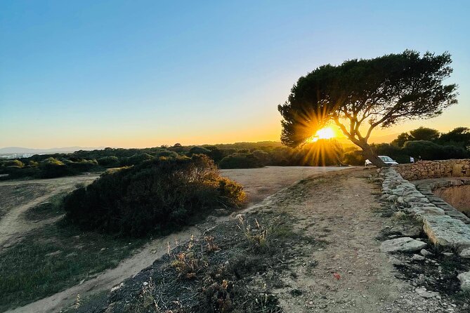 Self-guided Walking Tour and Outdoor Escape Game in Cala Millor, in German - Fifteen locations keep the walk moving