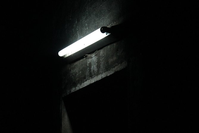 Survival Instinct Escape Game - Key points at a glance