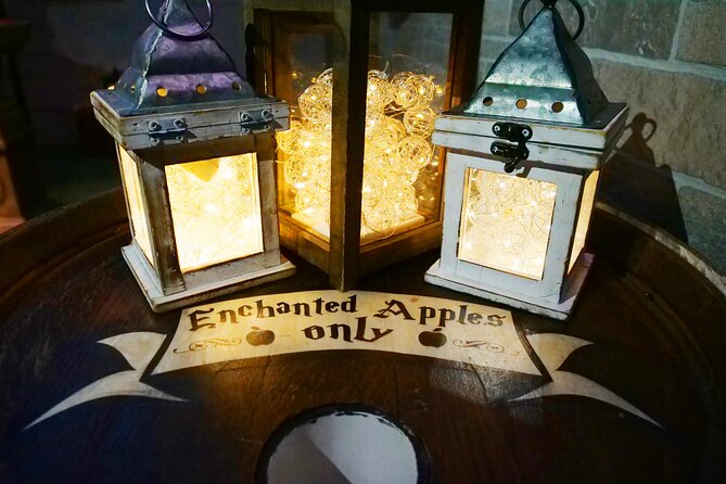 The Witch's Tower Adventure Escape Room - Artifacts, magical creatures, and teamwork