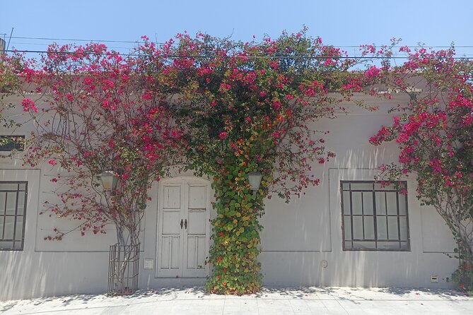 Todos Santos Treasure Hunt - Buildings, sculptures, and permanent town features
