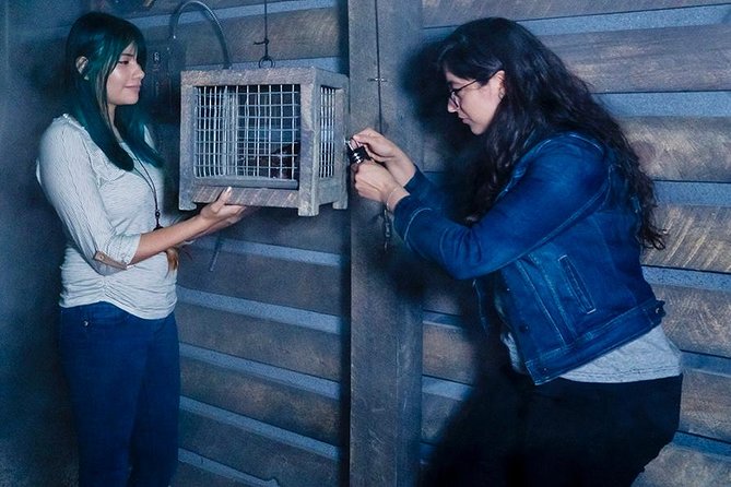 Trapped Below: Underground Escape Room Adventure at Extreme Escape San Antonio - The room’s atmosphere and the treasure hunt