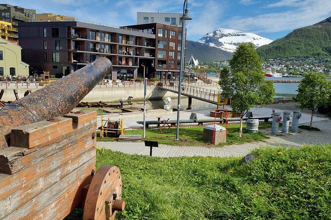 Tromso Walking Tour with Treasure Hunt and Arctic Cathedral Visit - Who will enjoy this tour most