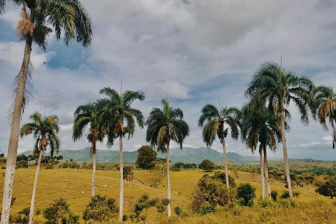 Tropical Escape Tour - Is $60 a fair price?