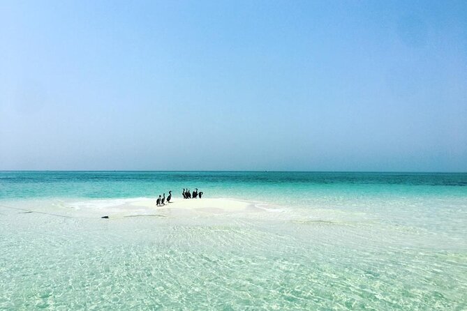Ultimate Private Jarada Island Escape Tour - Five hours on the Jarada sandbar