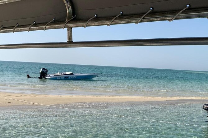 Ultimate Private Jarada Island Escape Tour - The boat ride and seasonal dolphin watch
